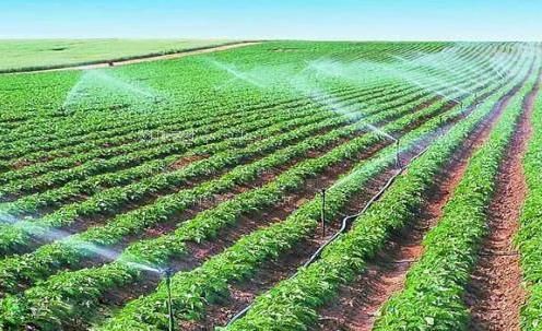 来西亚骚逼农田高 效节水灌溉